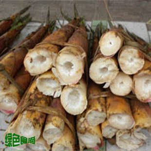  预售 四川特产 新鲜苦笋/春笋天然绿色有机蔬菜市场嫩竹笋子包邮