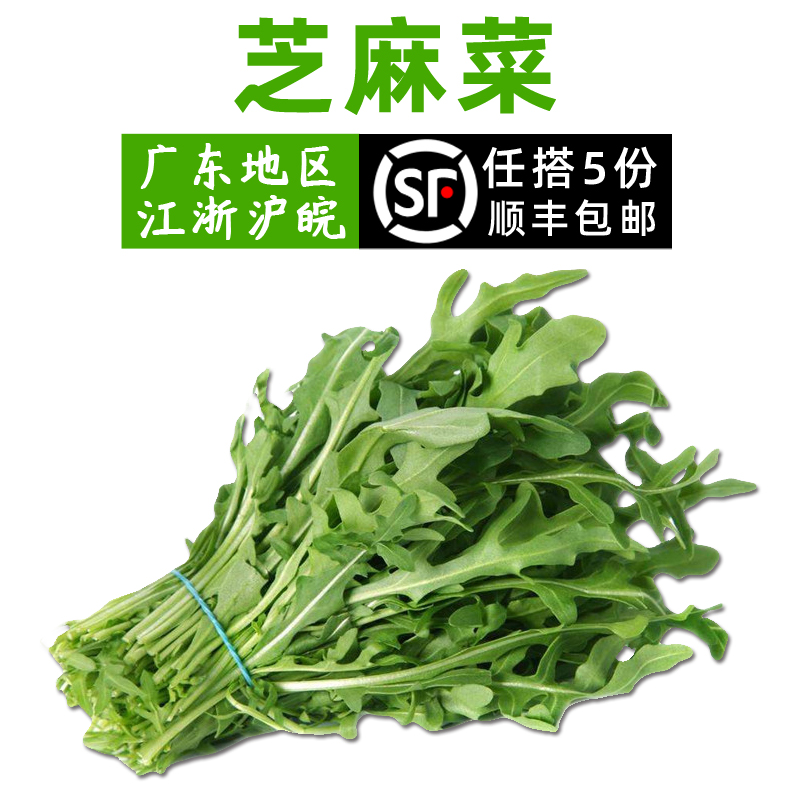 新鲜芝麻菜250g 沙拉蔬菜食材西餐德国芥菜火箭菜江浙沪皖5件包邮|ruв категории водной мясо/свежие фрукты и овощи/еда, свежие овощи/овощной продукции, свежие овощи, другие - от Buy2taobao.com для оказания профессиональной услуги покупки агента Taobao