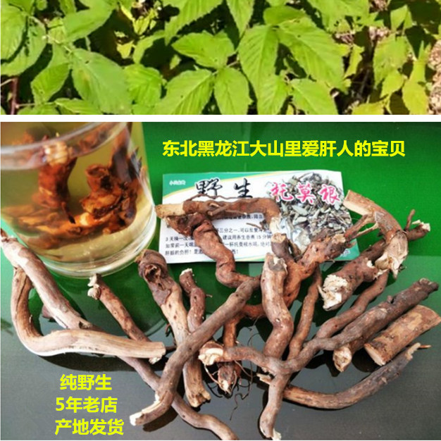 東北純野生托莫根 黑龍江土特産拖莫根脫莫根托摩根250克新貨養肝在類目 傳統滋補營養品, 藥食同源食品, 其他藥食同源食品中 - 來自Buy2taobao.com提供專業的淘寶代購服務