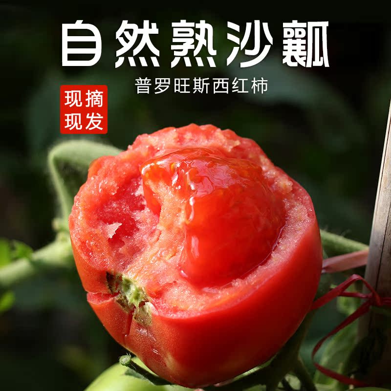 山东海阳普罗旺斯西红柿新鲜沙瓤自然熟西红柿生吃5斤大番茄水果在类目 水产肉类/新鲜蔬果/熟食, 新鲜蔬菜/蔬菜制品, 新鲜蔬菜, 番茄中 - 来自Buy2taobao.com提供专业的淘宝代购服务