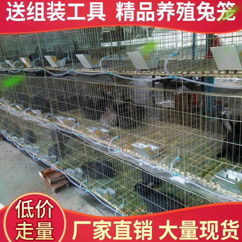 加粗加密兔子笼养殖笼12位子母兔笼三层繁殖兔笼24位商品兔笼大号|ruв категории животное/Животное питание и принадлежностей, зайцеобразные и принадлежностей, в клетку - от Buy2taobao.com для оказания профессиональной услуги покупки агента Taobao