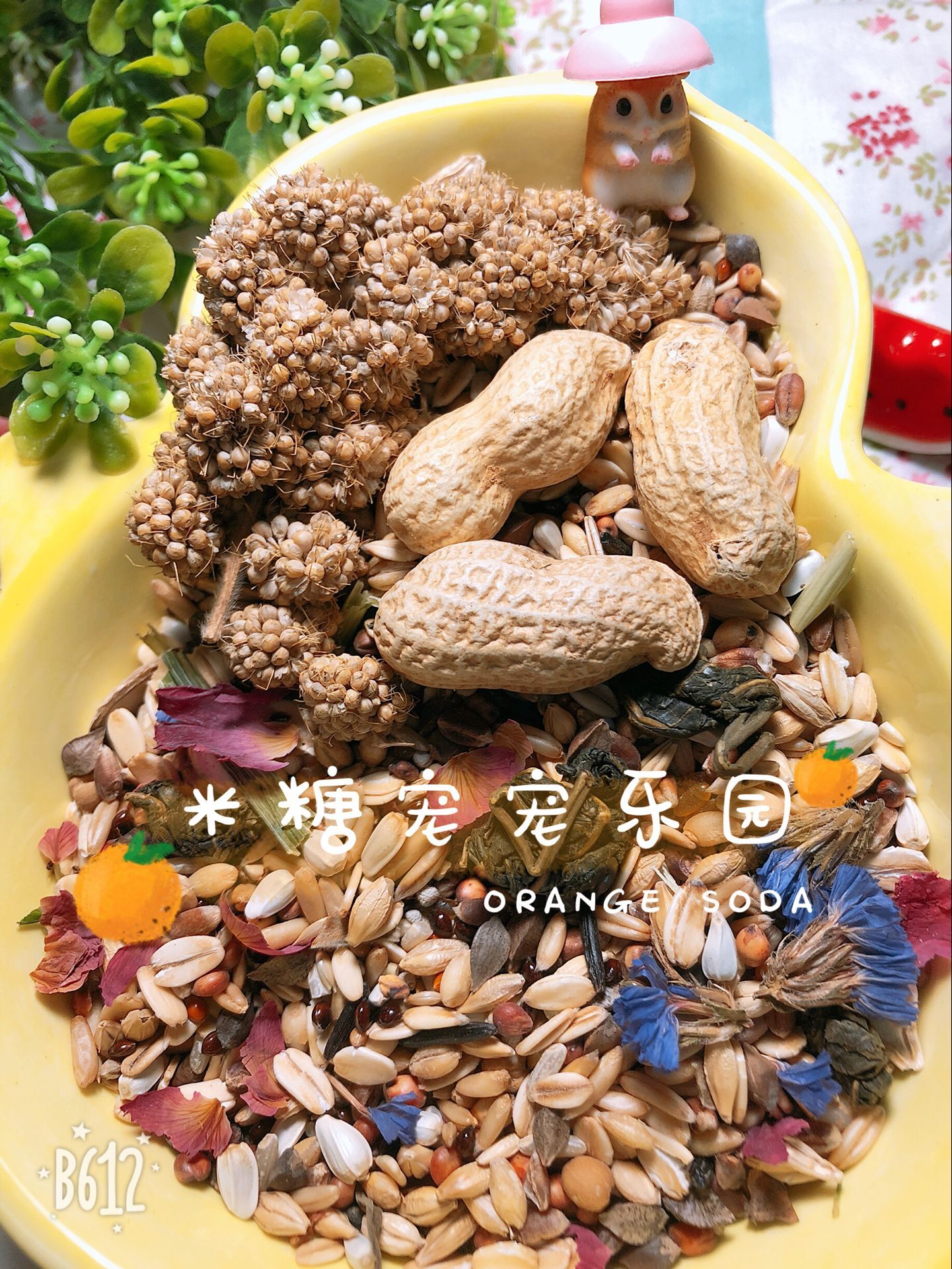看详情米糖花草粮自配仓鼠侏儒营养自配粮400g 添加有机进口谷物在类目 宠物/宠物食品及用品, 仓鼠类及其它小宠, 饲料/零食中 - 来自Buy2taobao.com提供专业的淘宝代购服务