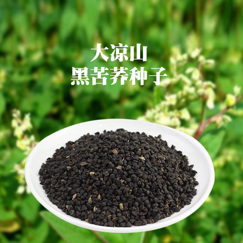 凉山黑苦荞麦果实种子四季播阳台农家田园易种种菜庭院2斤起包邮|ruв категории зерно риса/север и Юг сухих грузов/приправы, метров/муки/зерновые, Другие зерна - от Buy2taobao.com для оказания профессиональной услуги покупки агента Taobao