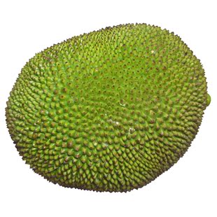 海南正宗马来精品菠萝蜜5号/果香甜可口/菠萝蜜中的极品