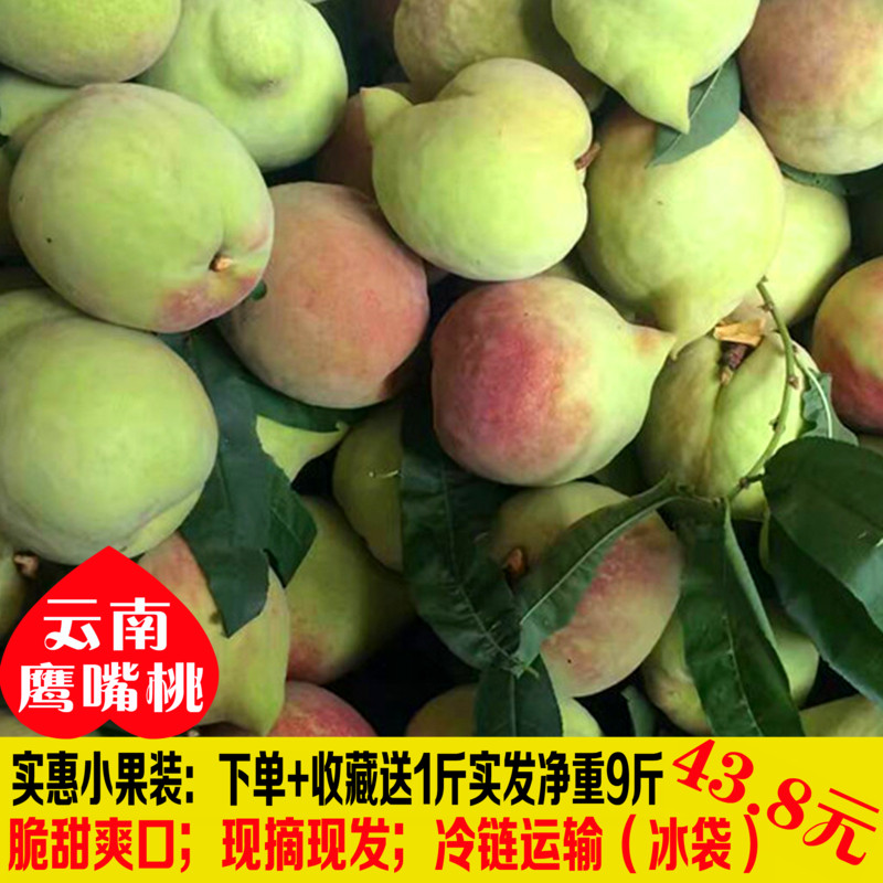 现摘小果云南鹰嘴桃当季新鲜孕妇脆桃开远水蜜桃时令毛桃非血黄桃|msdalam kategori daging perikanan/Buah-buahan segar dan sayur-sayuran/dimasak, buah-buahan segar, Peach - dari Buy2taobao.com untuk memberikan perkhidmatan ejen Taobao profesional membeli