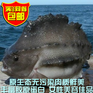 淀粉鸡胸冷冻冰岛进口鱼类斑斑鱼称重肉嫩海参肉海鲜食用油图片