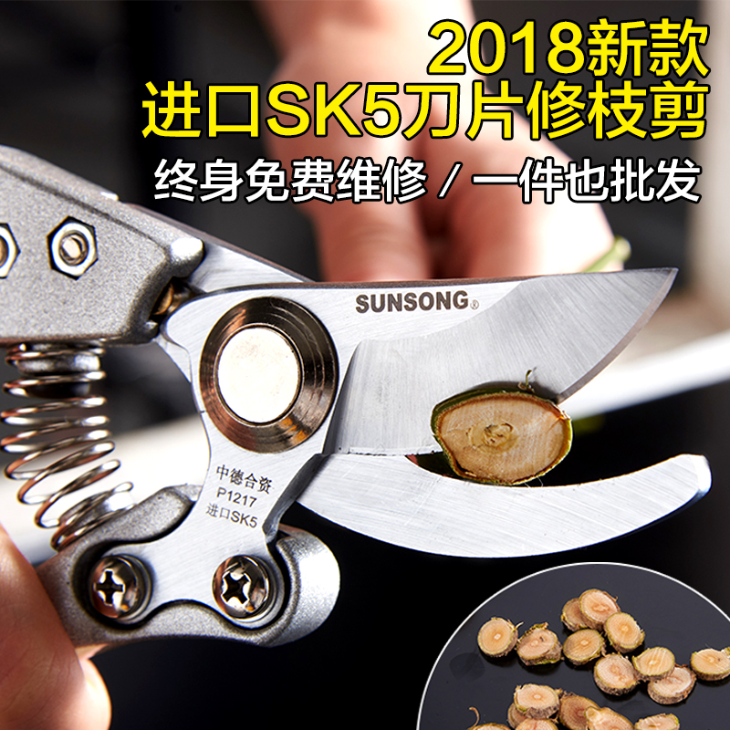 2018新款原裝進口SK5鋼粗枝剪刀家用果樹剪刀樹枝剪刀園林修枝剪在類目 鮮花速遞/花卉仿真/綠植園藝, 園藝用品, 園藝/刀/剪/鋸(新), 剪刀中 - 來自Buy2taobao.com提供專業的淘寶代購服務