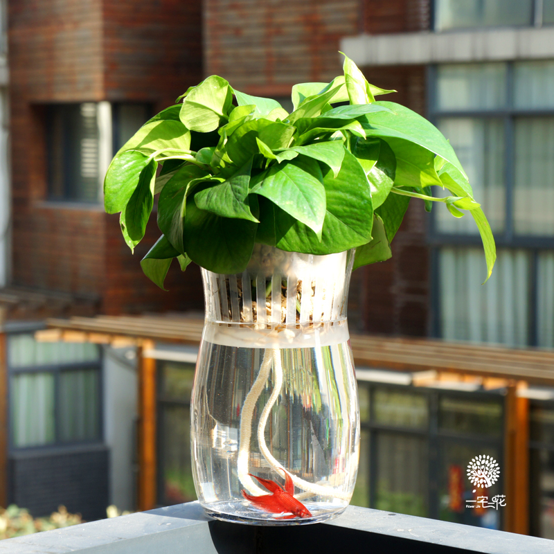 一宅一生多肉馆