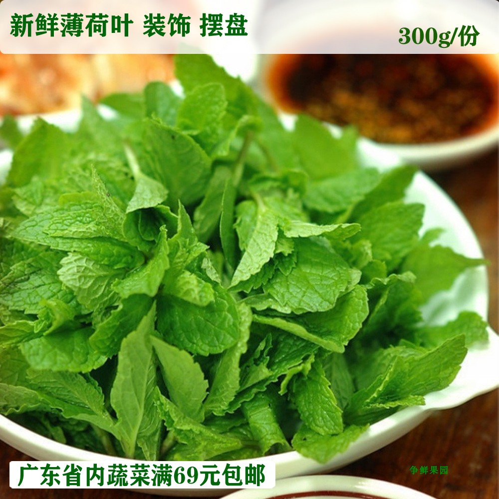 新鲜蔬菜 新鲜薄荷叶蔬菜 新鲜薄荷 水吧清吧 农场直供 300g/份在类目 水产肉类/新鲜蔬果/熟食, 新鲜蔬菜/蔬菜制品, 新鲜蔬菜, 其它中 - 来自Buy2taobao.com提供专业的淘宝代购服务