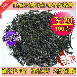  100%正品 云南野生毛冬青嫩芽 特级毛冬青苦甘 养生茶 买②包邮