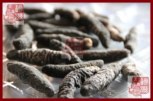  进口野生海参 冰岛雪参 无污染野生海参 海参干货 海参礼盒批发