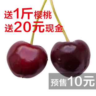  【预售】烟台大樱桃  车厘子 【最甜的】大樱桃 新鲜水果 包邮