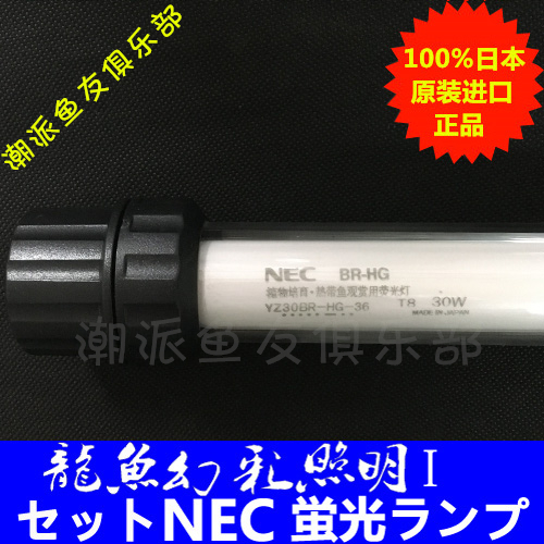 日本进口NEC30w幻彩Ⅰ龙鱼锦鲤照明灯水陆两用水中灯红鹦鹉潜水灯在类目 宠物/宠物食品及用品, 水族世界, 鱼缸等水族设备, 照明器材中 - 来自Buy2taobao.com提供专业的淘宝代购服务
