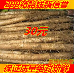  赔钱赚信誉20斤/箱30元江浙沪包邮批发特级新鲜牛蒡根.牛蒡茶优惠