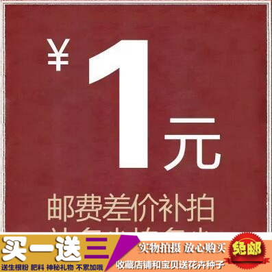 运费补拍 邮资补拍 补多少拍多少|msdalam kategori penghantaran bunga/bunga simulasi/tumbuhan berkebun, Berkebun Design Services - dari Buy2taobao.com untuk memberikan perkhidmatan ejen Taobao profesional membeli