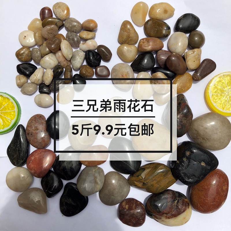 colour natural Pebble Nanjing Stone gardens Flower pot fish tank decorate stone Pebbles courtyardin the Flower delivery/Flowers simulation/Plants gardening , Gardening supplies , Other Garden Supplies category - from Buy2taobao.com to provide professional Taobao agent buy service