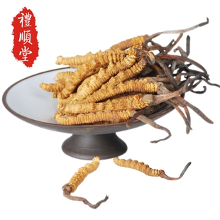  礼顺堂 冬虫夏草 正宗西藏那曲 正品特价全网最低 4条/克一克包邮
