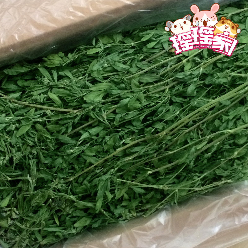 现货18年紫花苜蓿草兔粮兔草龙猫荷兰猪牧草干草牧草毛重1kg 包邮在类目 宠物/宠物食品及用品, 兔类及其用品, 兔兔干草中 - 来自Buy2taobao.com提供专业的淘宝代购服务