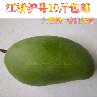  新鲜水果 海南芒果 金煌芒 青皮芒果王 大芒果【10斤包邮】