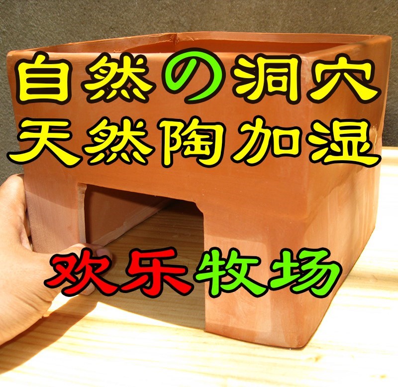 全陶爬宠洞加湿穴加湿窝躲避加湿草可陆龟黄缘蛇超大20*20种植在类目 宠物/宠物食品及用品, 爬虫/鸣虫及其用品, 爬虫/鸣虫用具中 - 来自Buy2taobao.com提供专业的淘宝代购服务