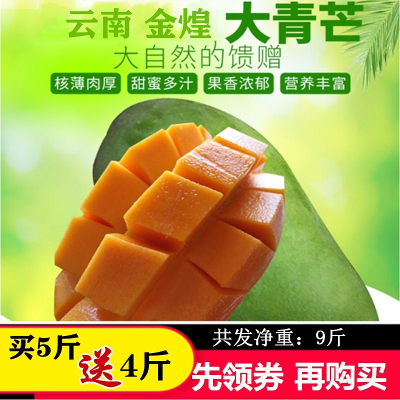 Green Mango Jinhuang Mans fresh 10 fruit Large Mango Super large Green Mango Katein the Aquatic meat/Fresh fruits and vegetables/Cooked , Fresh fruit , Mango category - from Buy2taobao.com to provide professional Taobao agent buy service
