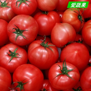  绿色食品  新鲜蔬菜 西红柿/番茄   5斤起拍  17.50元/5斤