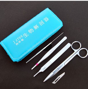 解剖器4件/生物材料/解剖刀 光学显微镜配套 中学生物课程在类目 商业/办公家具, 校园教学家具, 实验台中 - 来自Buy2taobao.com提供专业的淘宝代购服务