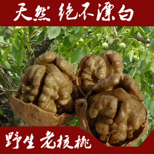  【新货】山西百年老树野生山核桃 汾阳生核桃 3斤包邮送夹 不漂白