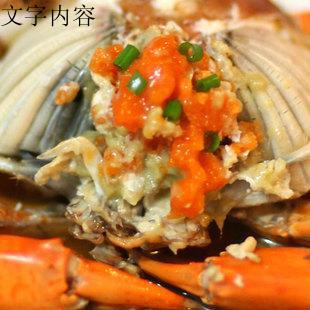  江浙沪包邮 三门青蟹 特产水产 海鲜鲜活 大红膏蟹 母蟹大螃蟹