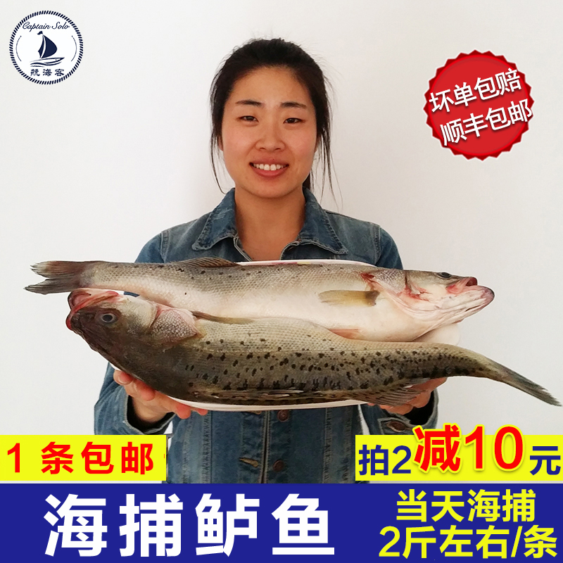 海鲈鱼2斤1条新鲜海鲜海鱼鲜活生鲜活体冷冻海鲜水产深海鱼包邮在类目 水产肉类/新鲜蔬果/熟食, 海鲜/水产品/制品, 其它中 - 来自Buy2taobao.com提供专业的淘宝代购服务