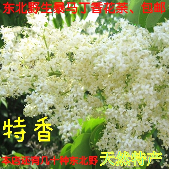東北長白山純野生白丁香花 暴馬丁香花 花茶包郵250克在類目 傳統滋補營養品, 養生茶中 - 來自Buy2taobao.com提供專業的淘寶代購服務