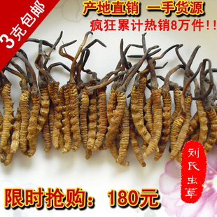  【刘氏】西藏那曲正品冬虫夏草 同仁堂级虫草 4条/克 秒杀包邮