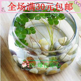 金瓶<em>莲</em>淘宝网金瓶<em>莲</em>价格,金瓶<em>莲</em>品牌,<em>睡衣</em>旗舰