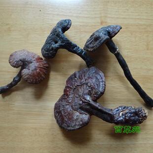  [百草苑]贵州野生灵芝 黑灵芝紫灵芝 制灵芝片灵芝粉 一斤包邮