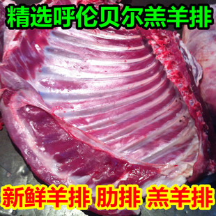  内蒙古呼伦贝尔 精选新鲜羊排 羔羊排 羊肋排 热气羊肉 称重