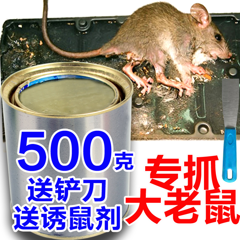 粘鼠胶强力老鼠胶老鼠贴粘鼠胶水老鼠胶水粘鼠板550克装粘鼠专用在类目 居家日用, 驱虫用品, 灭鼠笼/捕鼠器中 - 来自Buy2taobao.com提供专业的淘宝代购服务