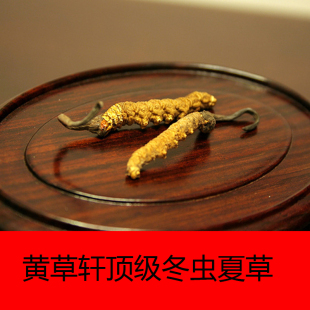  纯天然冬虫夏草 提高精力藏域 正品 同仁堂福临门1g四根 个