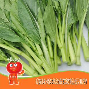  农场直供_有机菜心_有机蔬菜_菜花 广东新鲜配送-东升品质保证