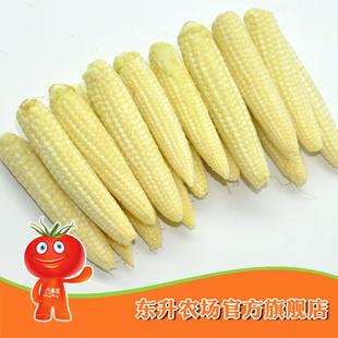  农场直供_东升玉米笋_新鲜蔬菜 玉米笋蔬菜 东升品质保证（300g）