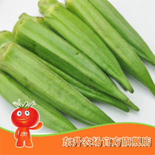  农场直供 东升黄秋葵_新鲜洋辣椒 蔬菜羊角豆_东升品质保证(200g)
