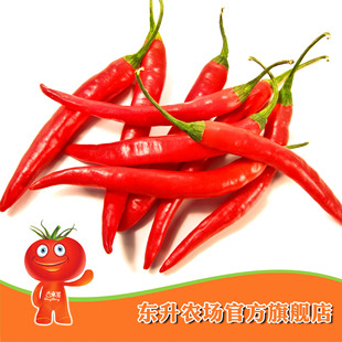  农场直供_无公害指天椒 调味朝天椒 蔬菜调料 东升品质保证（150g