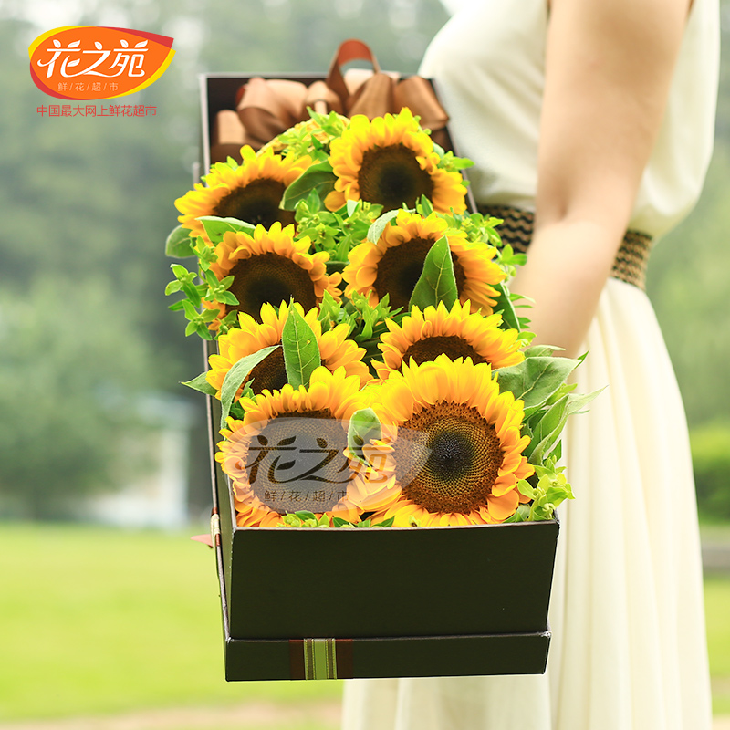 Sunflower Flower express whole country Beijing Shanghai Hangzhou Birthday Gift Bouquet of flowers Ningbo Wuhan Same city Floristin the Flower delivery/Flowers simulation/Plants gardening , Flower delivery(City) category - from Buy2taobao.com to provide professional Taobao agent buy service
