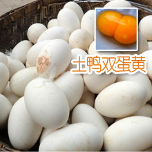  散养土鸭产的双黄土鸭蛋 超大 双黄蛋 可自做咸蛋