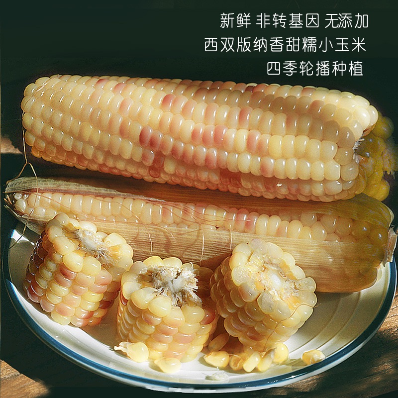 Yunnan Sweet glutinous rice Corn Cob Corn Corn fresh precooked and ready to be eaten vacuum Cooked corn Coarse grains Substitute meal specialtyin the Agri rice/Dried foods/Condiment , Meter/Flour/Grains , Corn category - from Buy2taobao.com to provide professional Taobao agent buy service