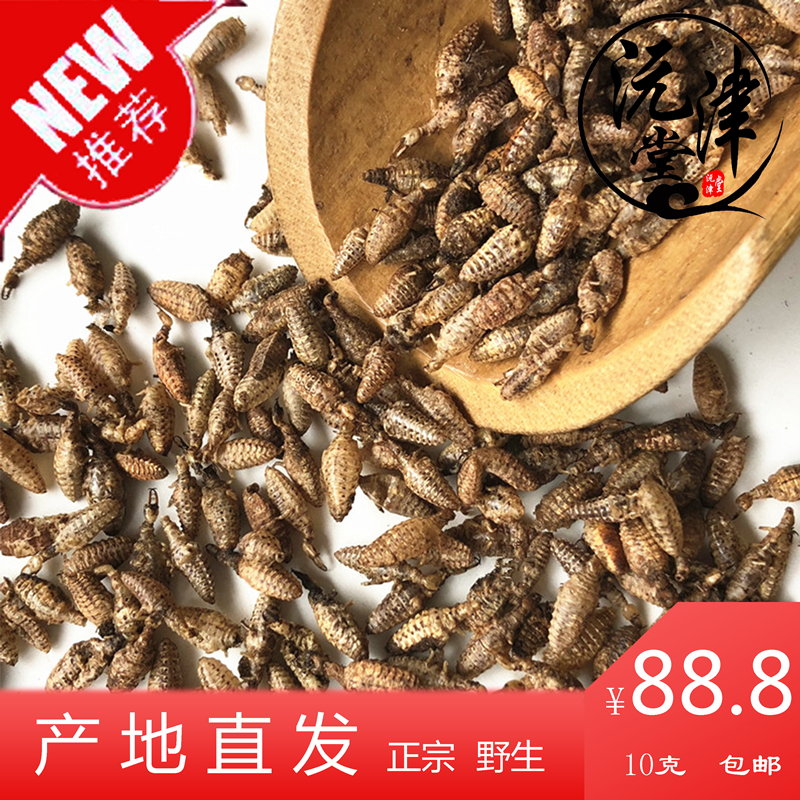 金沙牛中药材野生 特级蚁狮地牯牛金砂牛清水无杂 10克包邮可磨粉在类目 传统滋补营养品, 药食同源食品, 其他药食同源食品中 - 来自Buy2taobao.com提供专业的淘宝代购服务