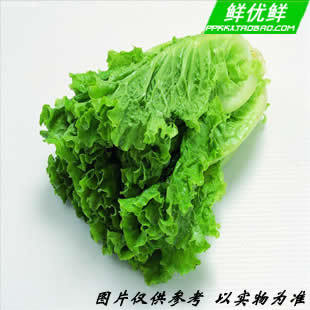  【鲜优鲜】绿色新鲜蔬菜  正宗农产 生菜500g  同城配送