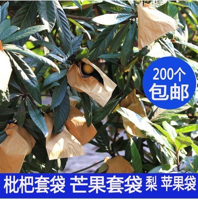 Yellow peach Fruit bag paper bag Bird grape Bag double-deck Bagging fruit Bagging Kraft paper Paper Bags fruitin the Flower delivery/Flowers simulation/Plants gardening , Gardening supplies , Other Garden Supplies category - from Buy2taobao.com to provide professional Taobao agent buy service