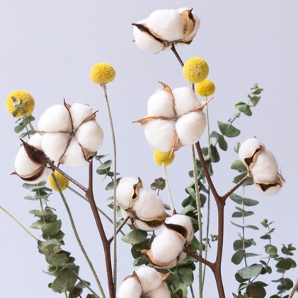 Cotton Dried flowers Spend eternity Mini Bouquet of flowers diy Material Science Exhibition Wall Decoration wedding romantic Soft decorationin the Flower delivery/Flowers simulation/Plants gardening , Spend eternity/Dried flowers , Dried flowers category - from Buy2taobao.com to provide professional Taobao agent buy service