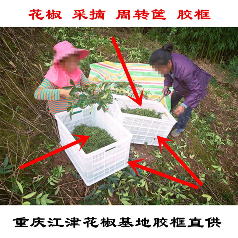重庆江津塑料花椒筐胶框采摘周转农产品大号熟胶收纳筐加厚长方形|ruв категории получать отделка, семьи, хранения приборов, коробка для хранения, ящик - от Buy2taobao.com для оказания профессиональной услуги покупки агента Taobao