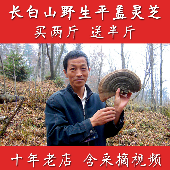 野生灵芝 纯天然平盖灵芝 长白山树舌灵芝 青芝 林芝 可切块打粉在类目 传统滋补营养品, 灵芝, 整枝灵芝中 - 来自Buy2taobao.com提供专业的淘宝代购服务